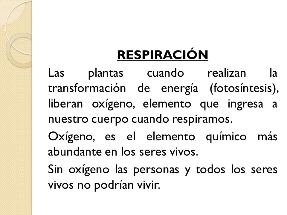 RESPIRACIÓN Las plantas cuando realizan la transformación de energía (fotosíntesis), liberan oxígeno, elemento que ingresa a nuestro cuerpo cuando respiramos.