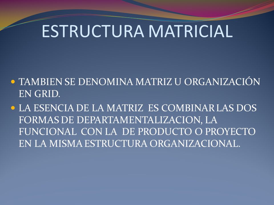 ESTRUCTURA MATRICIAL TAMBIEN SE DENOMINA MATRIZ U ORGANIZACIÓN EN GRID.