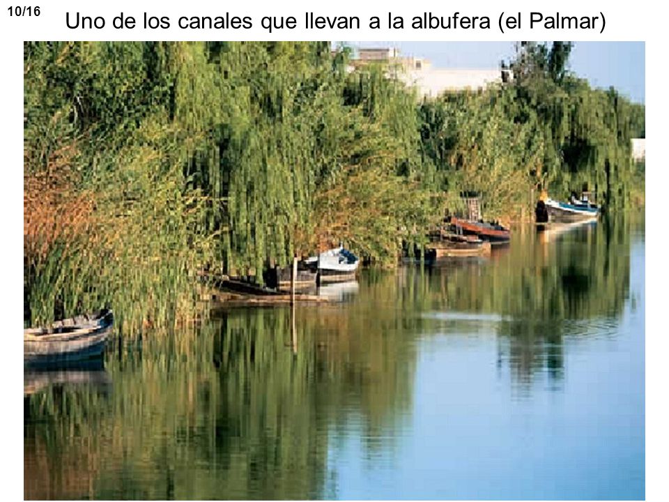 Uno de los canales que llevan a la albufera (el Palmar)