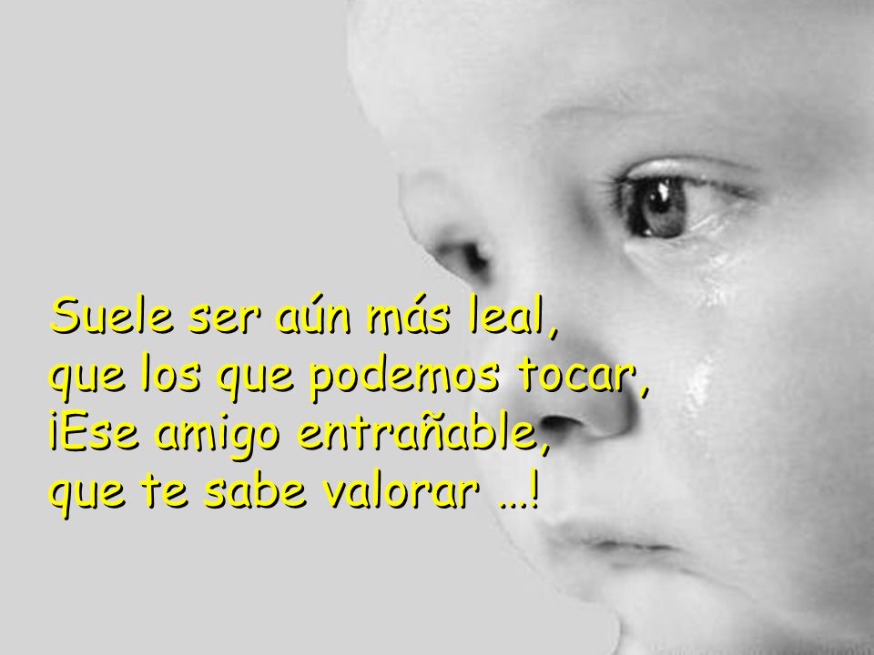 Suele ser aún más leal, que los que podemos tocar, ¡Ese amigo entrañable, que te sabe valorar …!