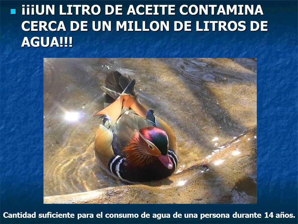 ¡¡¡UN LITRO DE ACEITE CONTAMINA CERCA DE UN MILLON DE LITROS DE AGUA!!!
