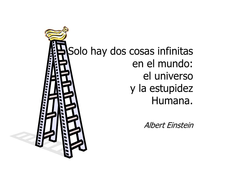 Solo hay dos cosas infinitas en el mundo: el universo y la estupidez