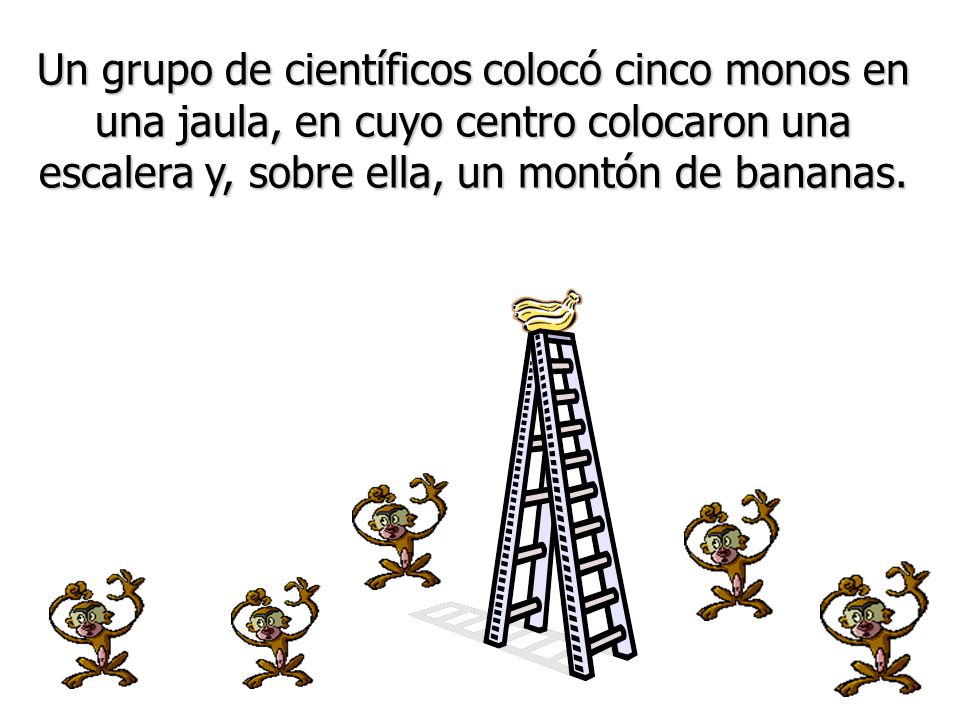 Un grupo de científicos colocó cinco monos en una jaula, en cuyo centro colocaron una escalera y, sobre ella, un montón de bananas.