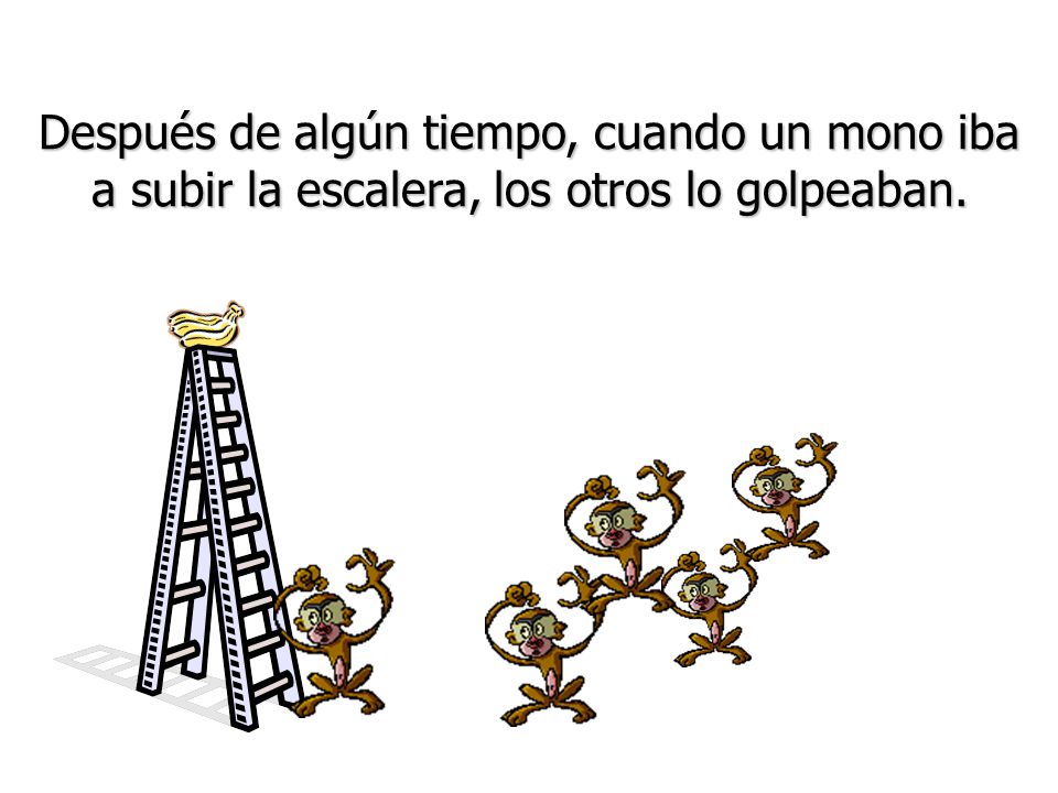 Después de algún tiempo, cuando un mono iba a subir la escalera, los otros lo golpeaban.