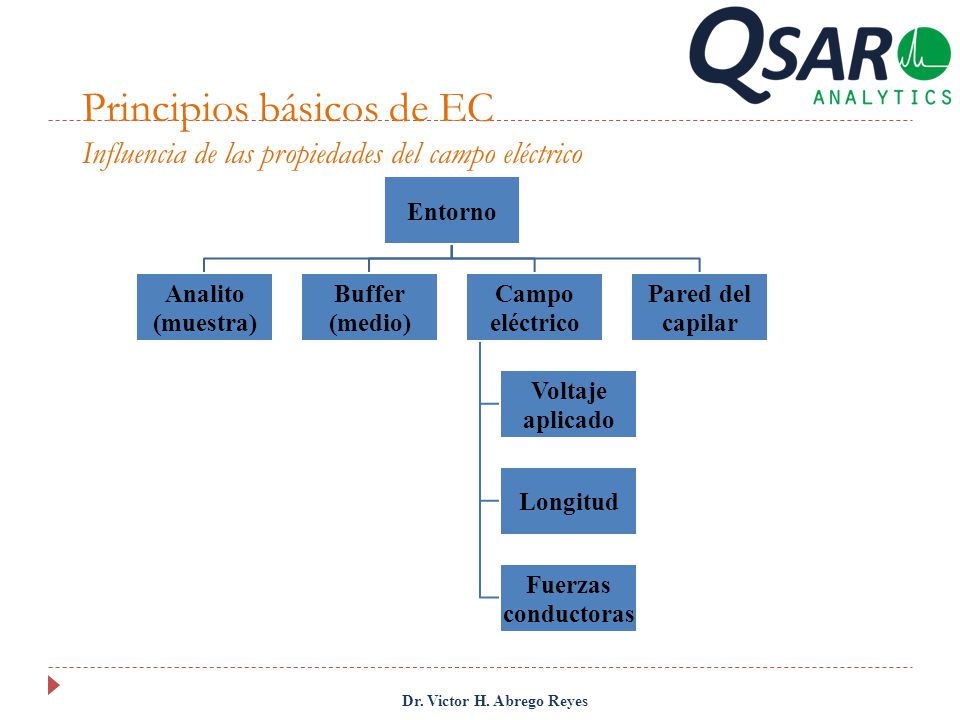 Principios básicos de EC Influencia de las propiedades del campo eléctrico