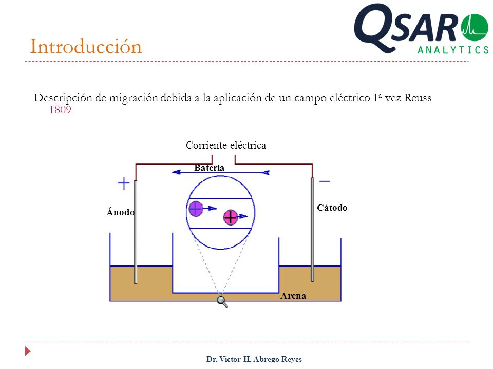 Introducción Descripción de migración debida a la aplicación de un campo eléctrico 1a vez Reuss