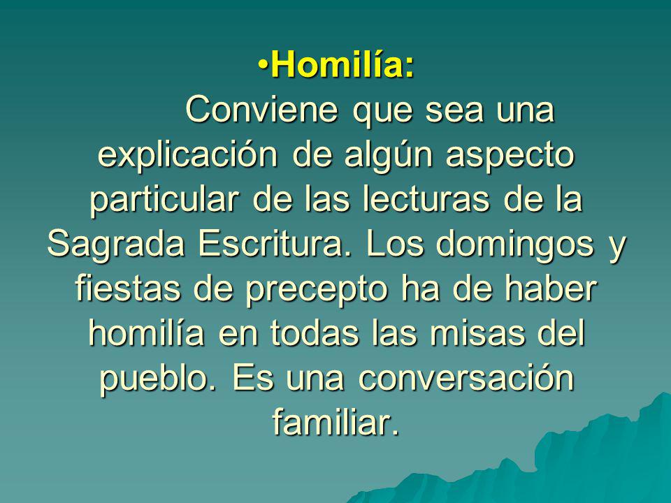 Homilía: Conviene que sea una explicación de algún aspecto particular de las lecturas de la Sagrada Escritura.