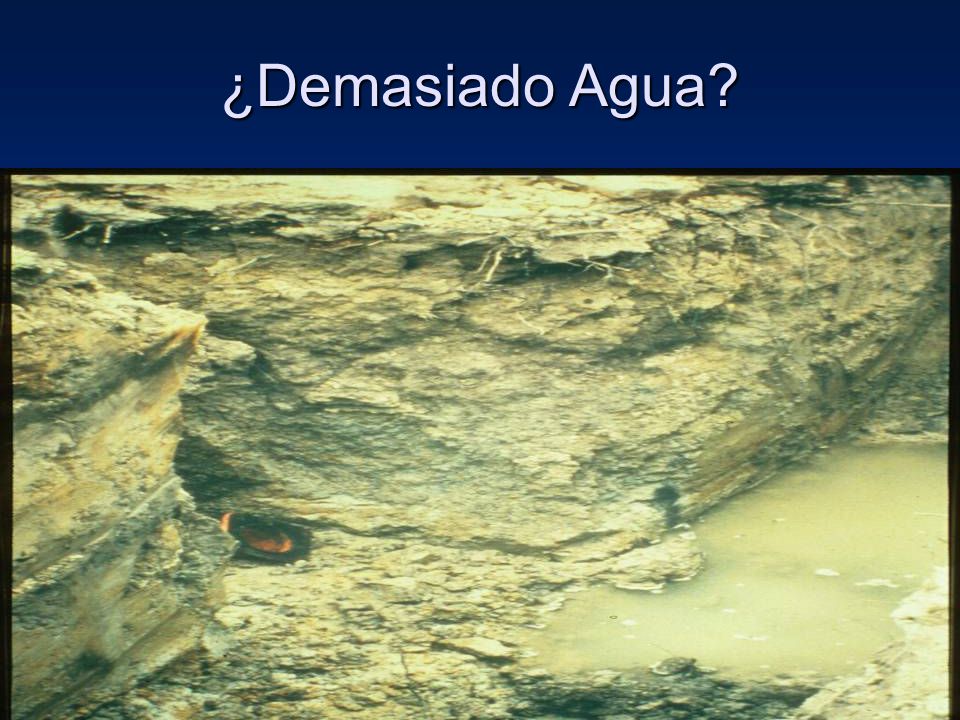 ¿Demasiado Agua Qué hay que hacer para que esta zanja sea segura