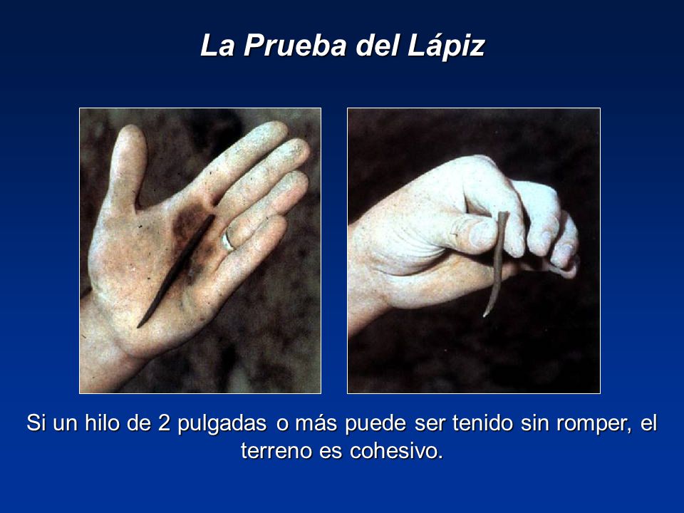 La Prueba del Lápiz Si un hilo de 2 pulgadas o más puede ser tenido sin romper, el terreno es cohesivo.