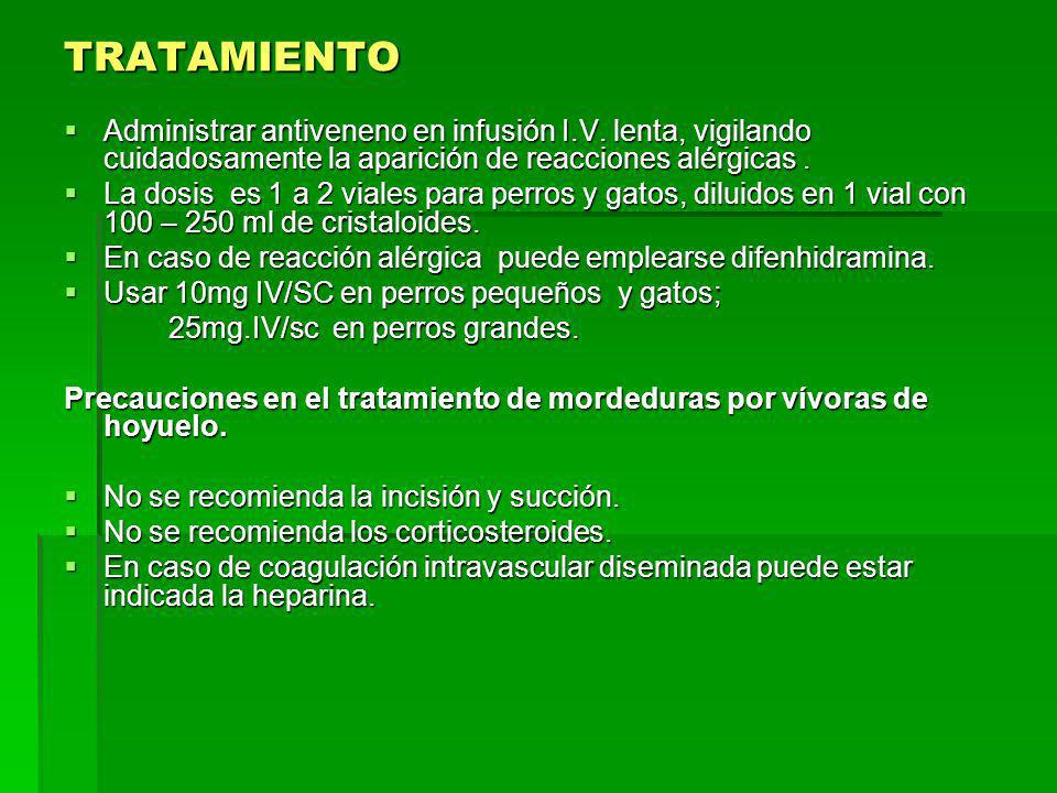 TRATAMIENTO Administrar antiveneno en infusión I.V. lenta, vigilando cuidadosamente la aparición de reacciones alérgicas .