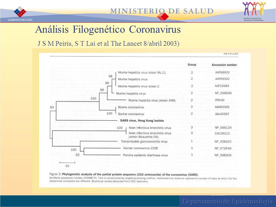 Análisis Filogenético Coronavirus J S M Peiris, S T Lai et al The Lancet 8/abril 2003)