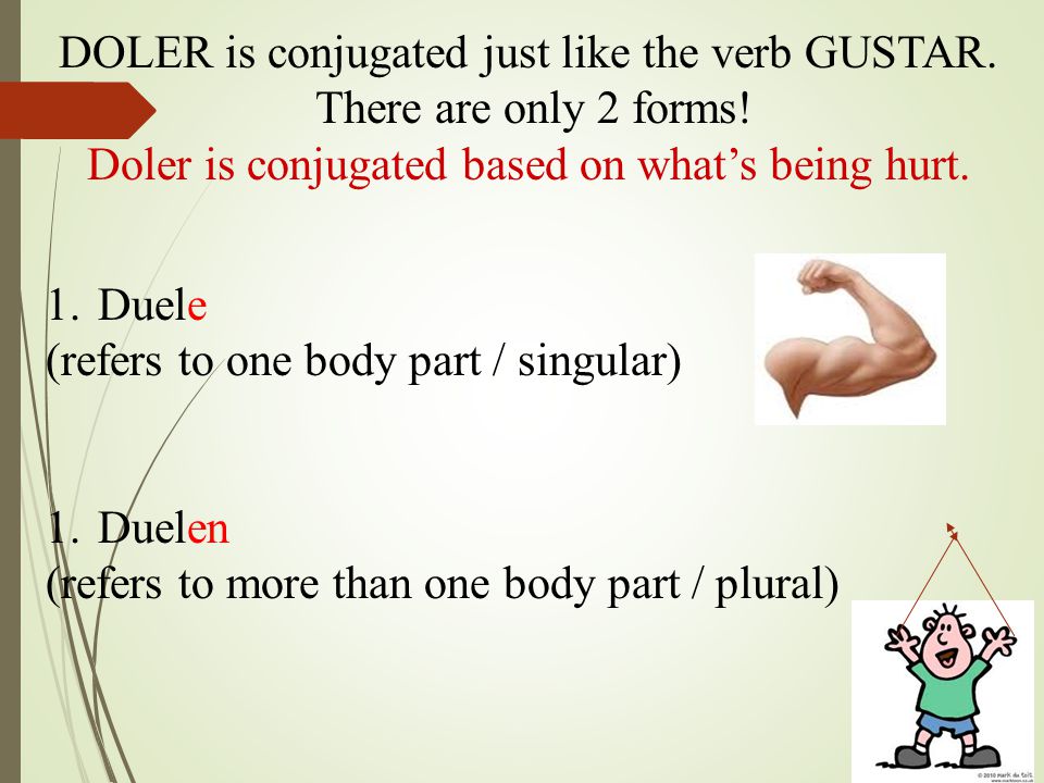 DOLER is conjugated just like the verb GUSTAR. There are only 2 forms!