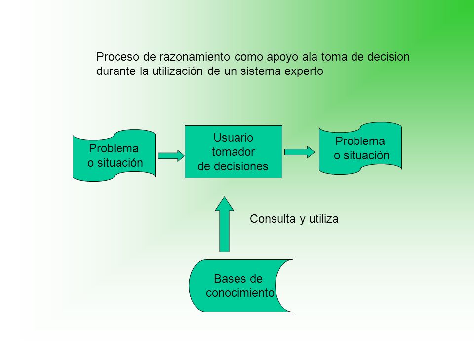 Proceso de razonamiento como apoyo ala toma de decision durante la utilización de un sistema experto