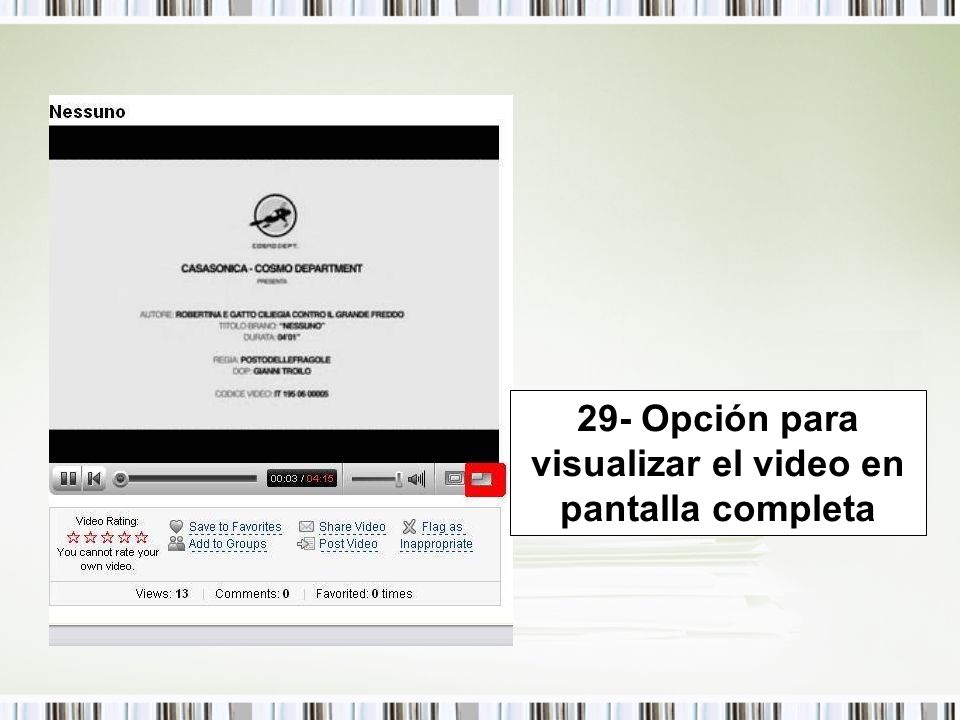 29- Opción para visualizar el video en pantalla completa
