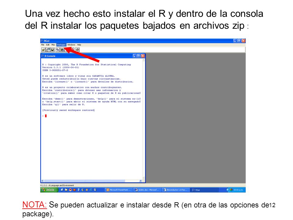 Una vez hecho esto instalar el R y dentro de la consola del R instalar los paquetes bajados en archivos zip :