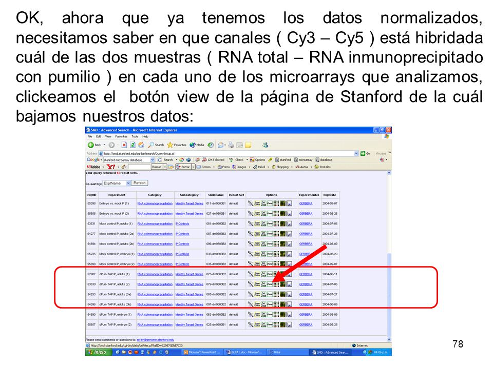 OK, ahora que ya tenemos los datos normalizados, necesitamos saber en que canales ( Cy3 – Cy5 ) está hibridada cuál de las dos muestras ( RNA total – RNA inmunoprecipitado con pumilio ) en cada uno de los microarrays que analizamos, clickeamos el botón view de la página de Stanford de la cuál bajamos nuestros datos: