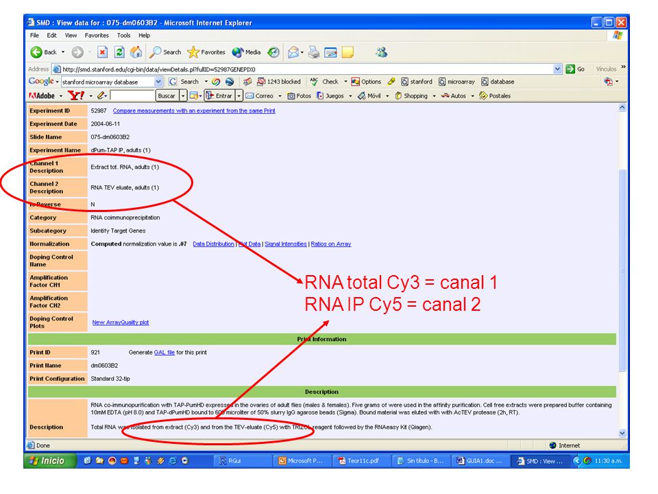 RNA total Cy3 = canal 1 RNA IP Cy5 = canal 2