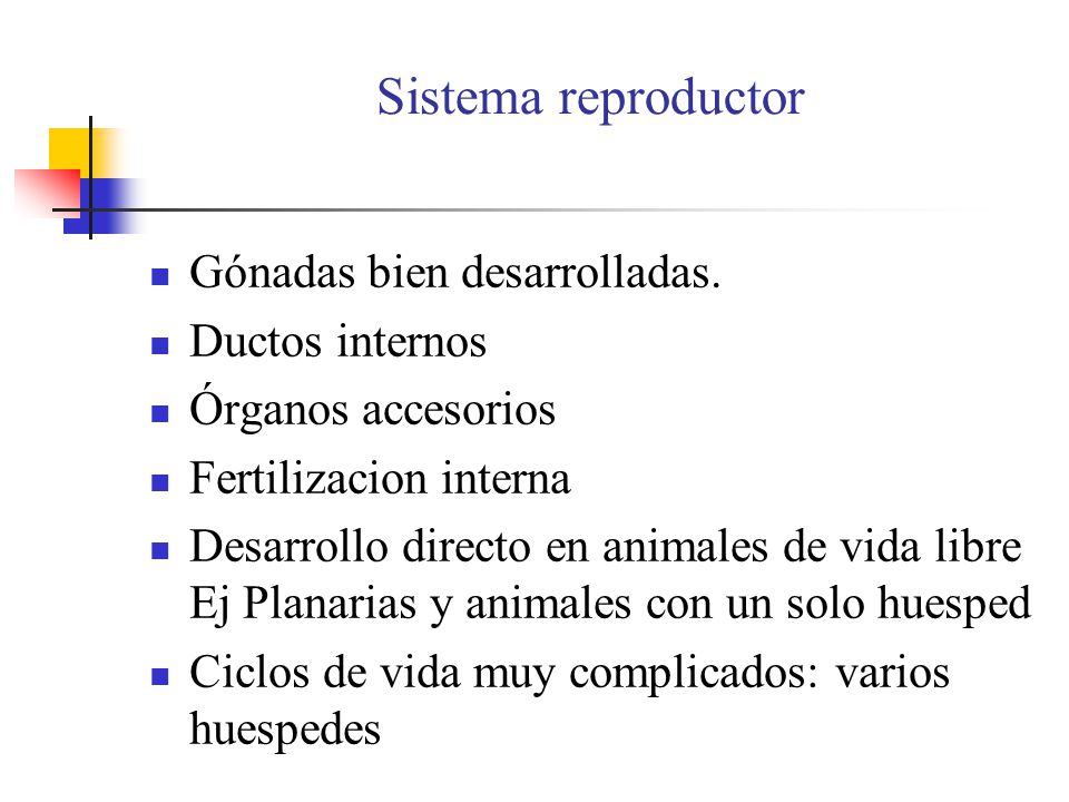 Sistema reproductor Gónadas bien desarrolladas. Ductos internos