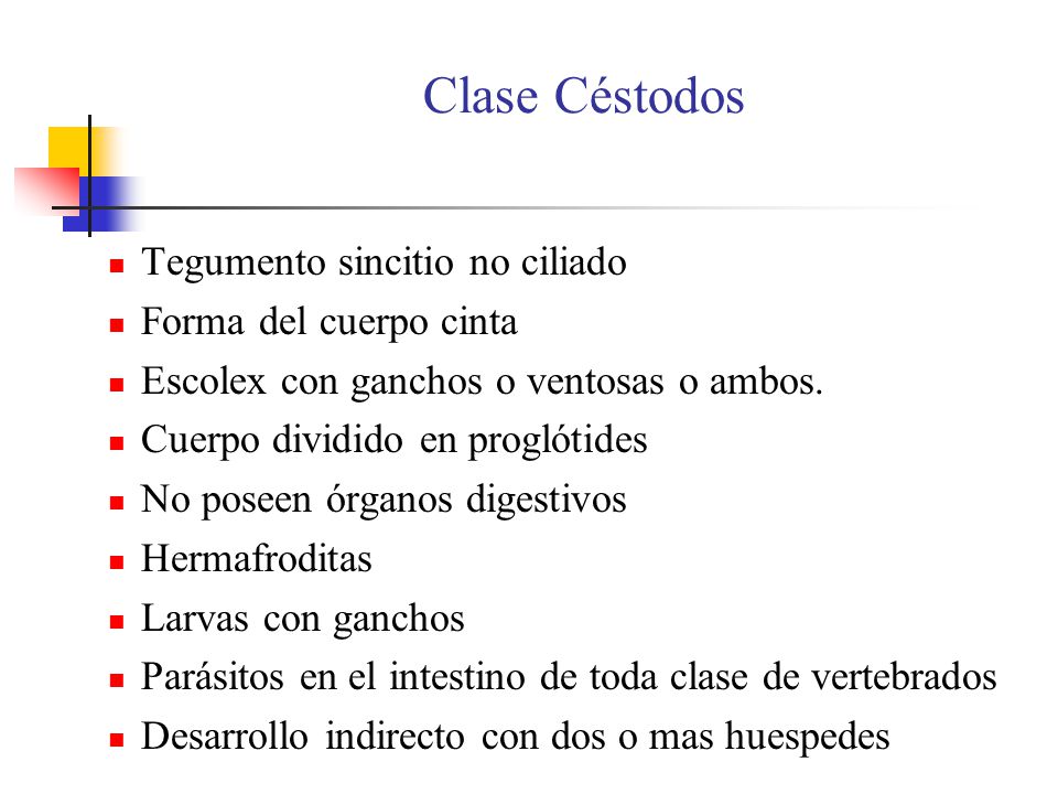 Clase Céstodos Tegumento sincitio no ciliado Forma del cuerpo cinta
