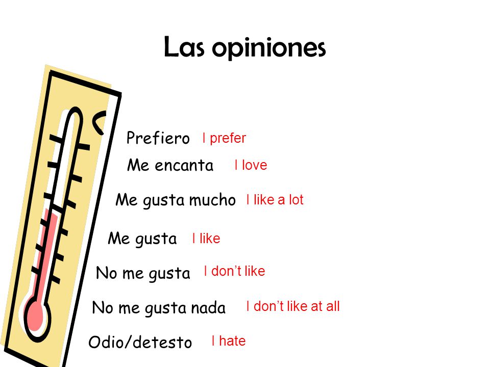 Las opiniones Prefiero Me encanta Me gusta mucho Me gusta No me gusta