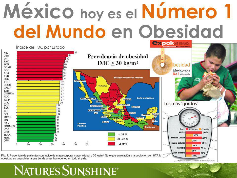 México hoy es el Número 1 del Mundo en Obesidad