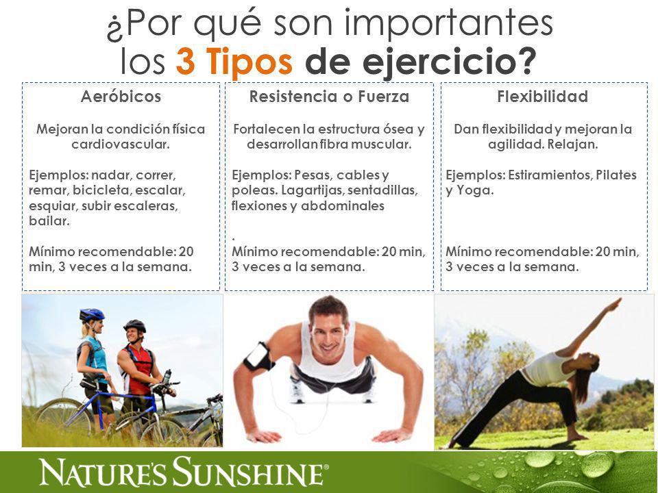 ¿Por qué son importantes los 3 Tipos de ejercicio