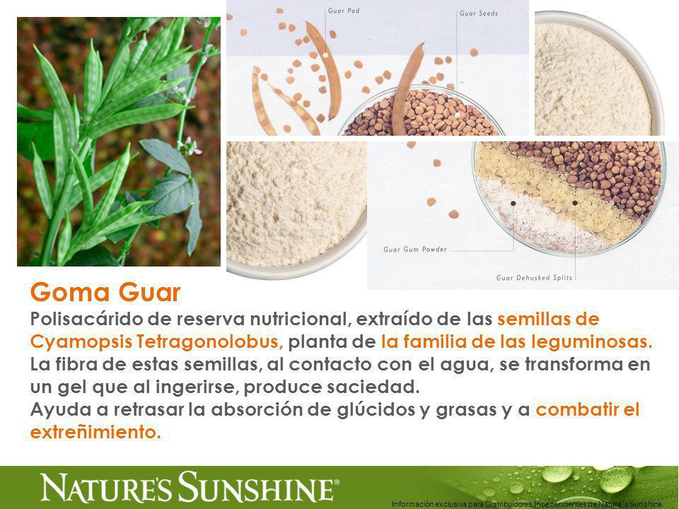 Goma Guar Polisacárido de reserva nutricional, extraído de las semillas de Cyamopsis Tetragonolobus, planta de la familia de las leguminosas.