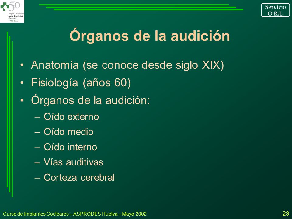 Órganos de la audición Anatomía (se conoce desde siglo XIX)
