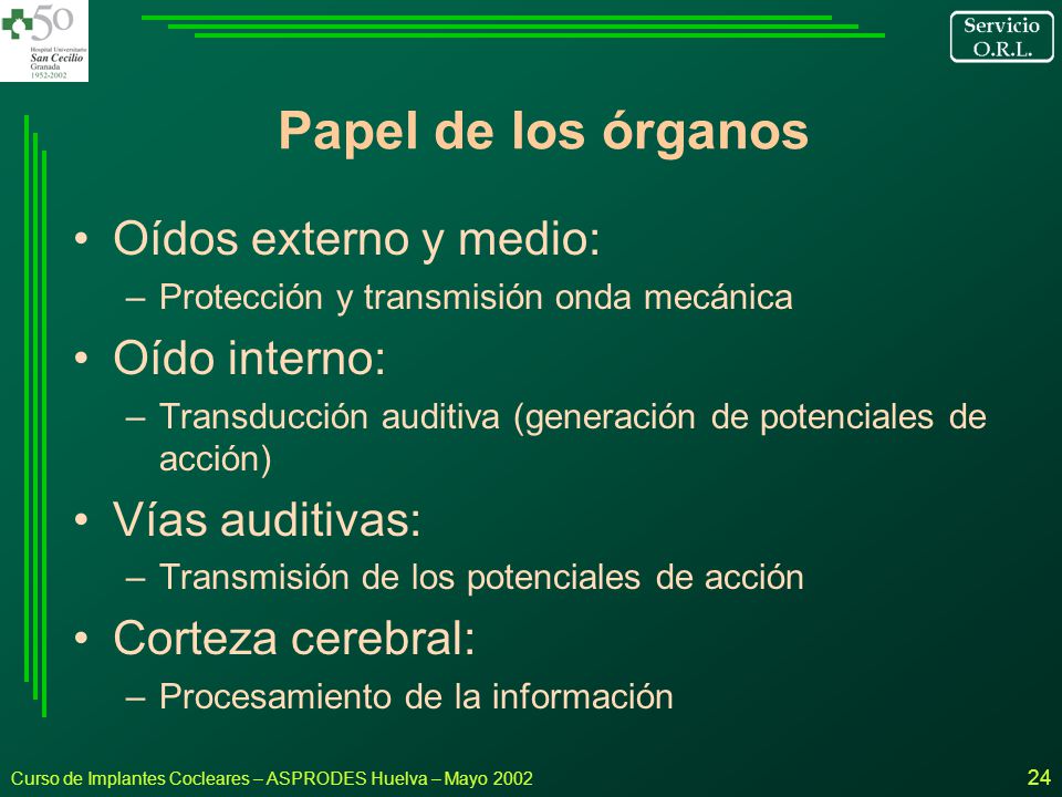 Papel de los órganos Oídos externo y medio: Oído interno: