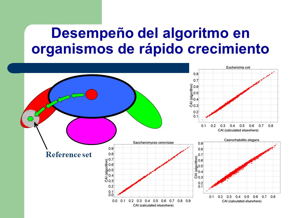 Desempeño del algoritmo en organismos de rápido crecimiento