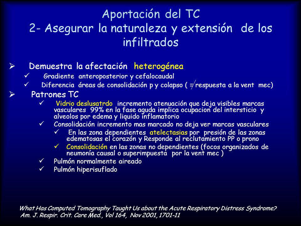 Aportación del TC 2- Asegurar la naturaleza y extensión de los infiltrados