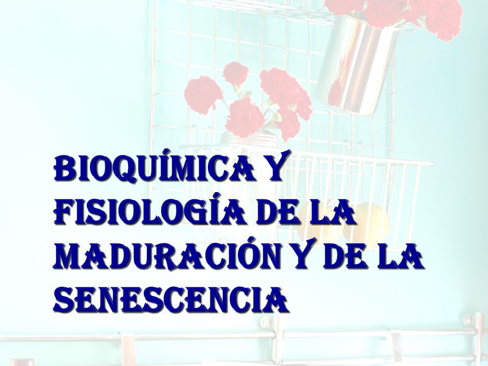 BIOQUÍMICA Y FISIOLOGÍA DE LA MADURACIÓN Y DE LA SENESCENCIA