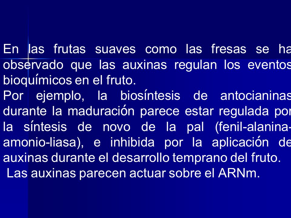 En las frutas suaves como las fresas se ha observado que las auxinas regulan los eventos bioquímicos en el fruto.