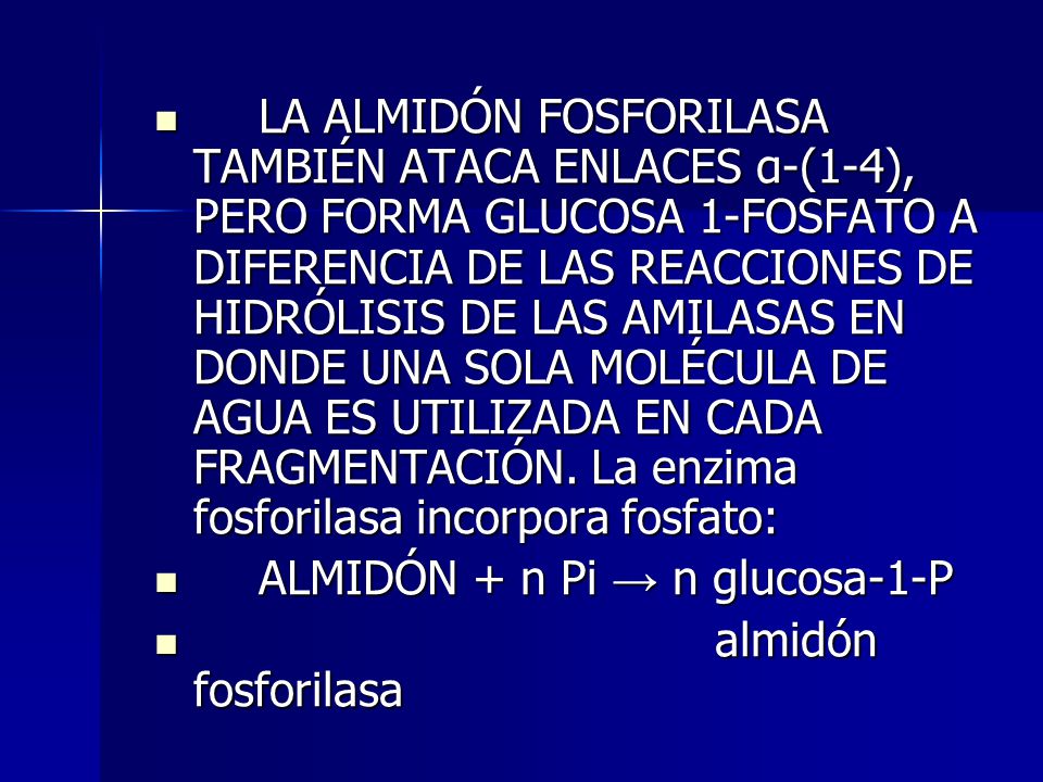 LA ALMIDÓN FOSFORILASA TAMBIÉN ATACA ENLACES α-(1-4), PERO FORMA GLUCOSA 1-FOSFATO A DIFERENCIA DE LAS REACCIONES DE HIDRÓLISIS DE LAS AMILASAS EN DONDE UNA SOLA MOLÉCULA DE AGUA ES UTILIZADA EN CADA FRAGMENTACIÓN. La enzima fosforilasa incorpora fosfato: