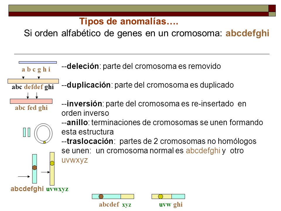 Si orden alfabético de genes en un cromosoma: abcdefghi