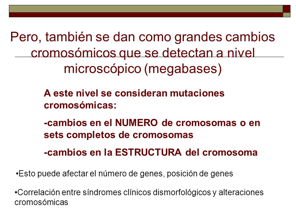 Pero, también se dan como grandes cambios cromosómicos que se detectan a nivel microscópico (megabases)