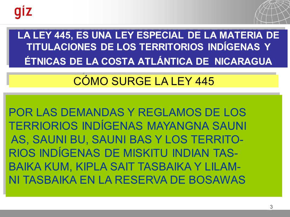 POR LAS DEMANDAS Y REGLAMOS DE LOS TERRIORIOS INDÍGENAS MAYANGNA SAUNI