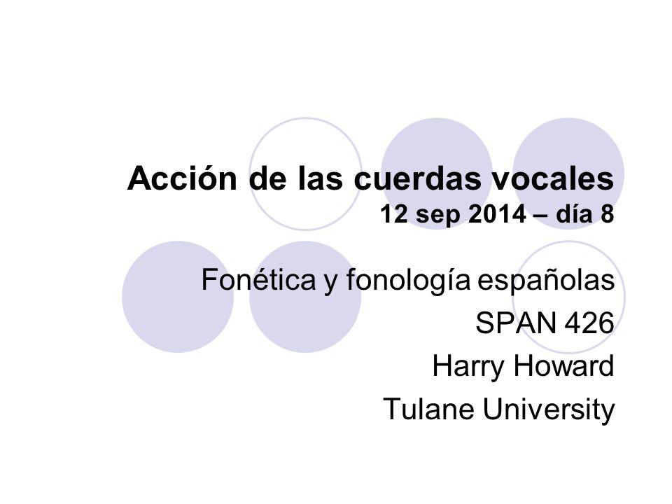 Acción de las cuerdas vocales 12 sep 2014 – día 8