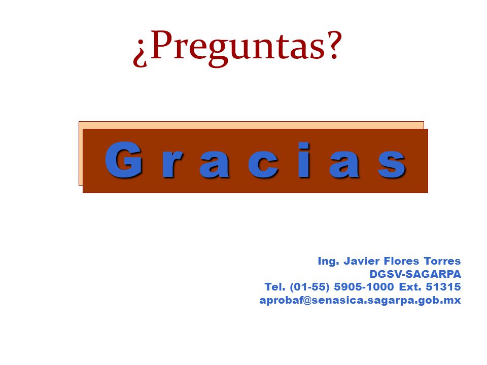 G r a c i a s G r a c i a s ¿Preguntas Ing. Javier Flores Torres