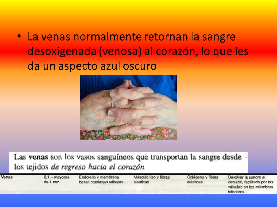 La venas normalmente retornan la sangre desoxigenada (venosa) al corazón, lo que les da un aspecto azul oscuro