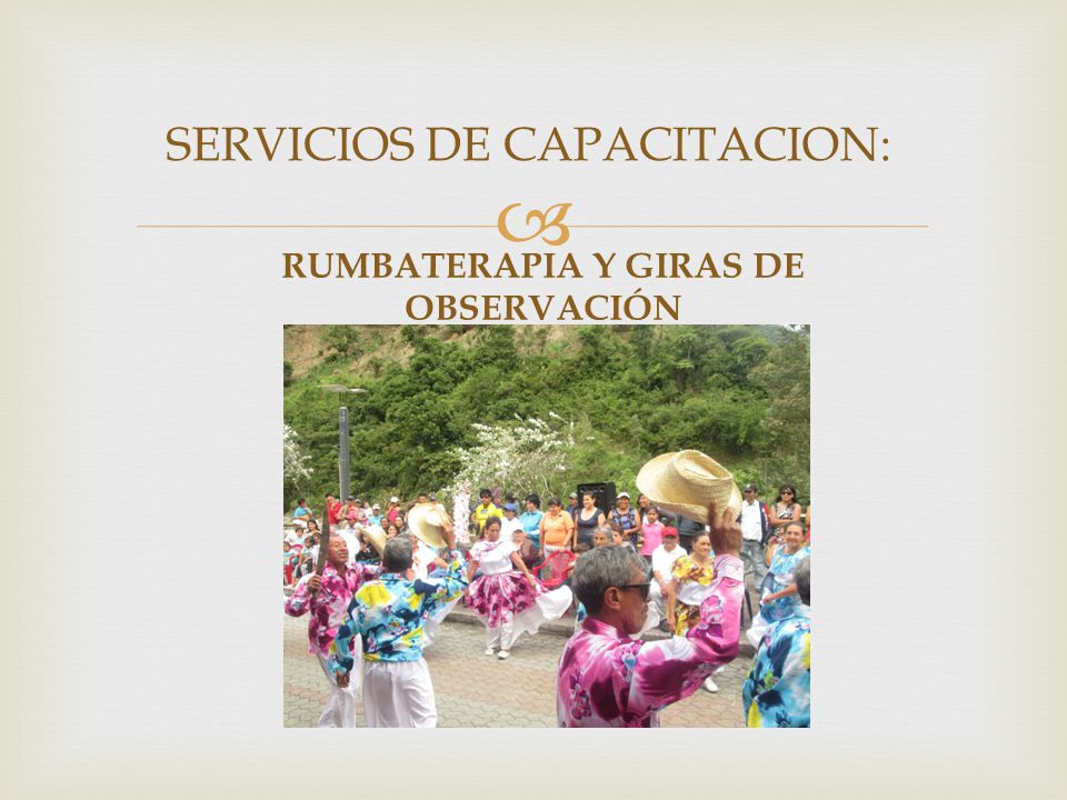 RUMBATERAPIA Y GIRAS DE OBSERVACIÓN