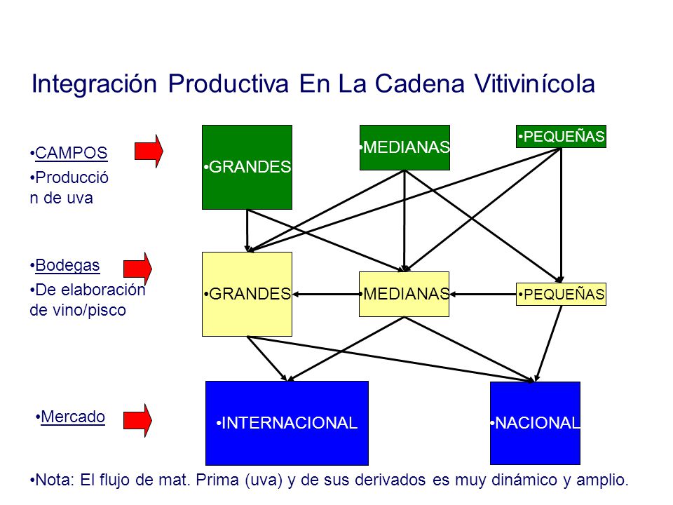 17. INTEGRACION PRODUCTIVA Y DESARROLLO REGIONAL