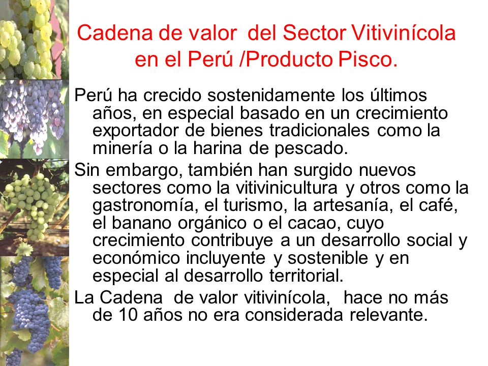 Cadena de valor del Sector Vitivinícola en el Perú /Producto Pisco.
