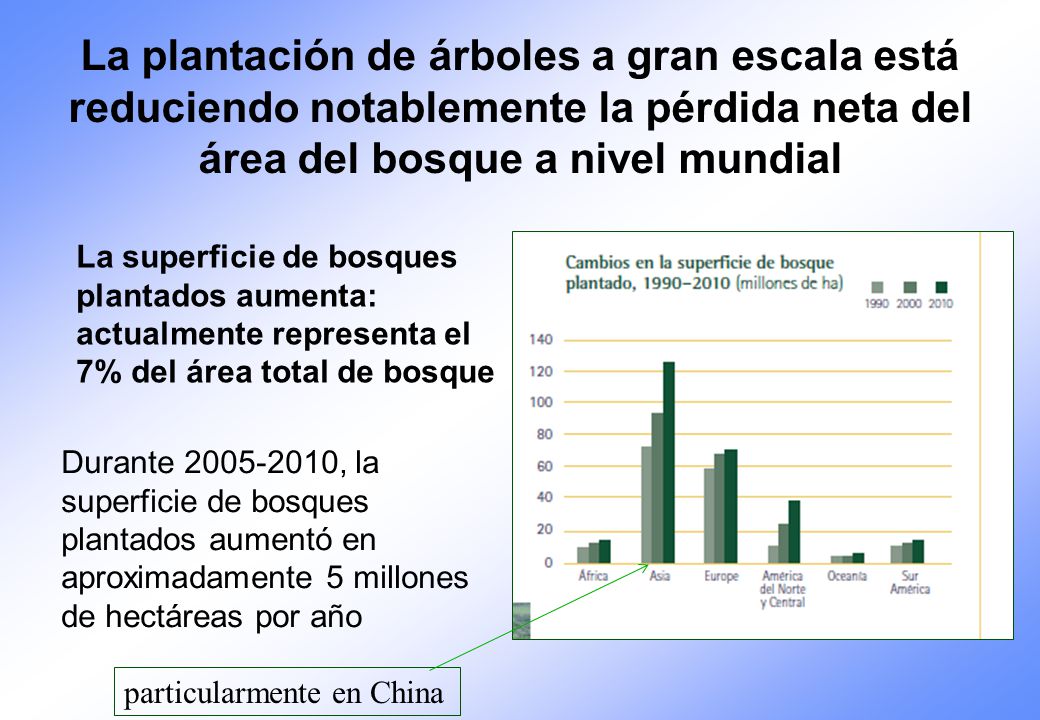 La plantación de árboles a gran escala está reduciendo notablemente la pérdida neta del área del bosque a nivel mundial