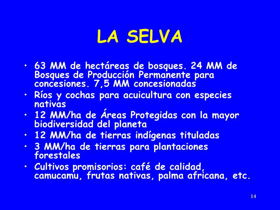 LA SELVA 63 MM de hectáreas de bosques. 24 MM de Bosques de Producción Permanente para concesiones. 7,5 MM concesionadas.