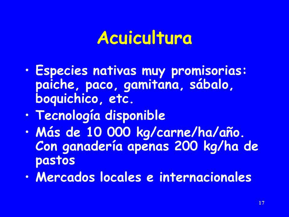 Acuicultura Especies nativas muy promisorias: paiche, paco, gamitana, sábalo, boquichico, etc. Tecnología disponible.