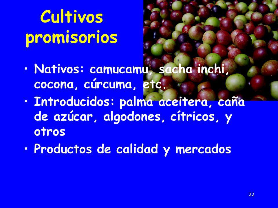 Cultivos promisorios Nativos: camucamu, sacha inchi, cocona, cúrcuma, etc.
