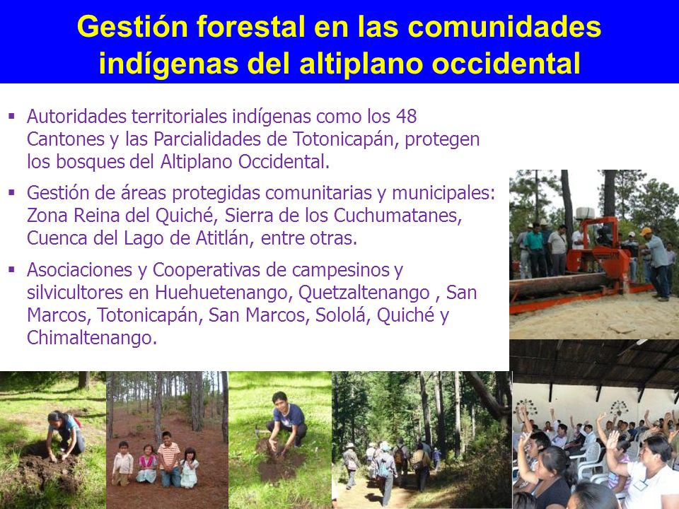 Gestión forestal en las comunidades indígenas del altiplano occidental