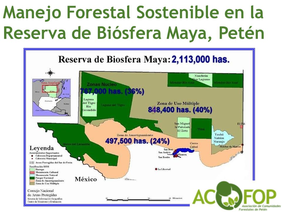 Manejo Forestal Sostenible en la Reserva de Biósfera Maya, Petén