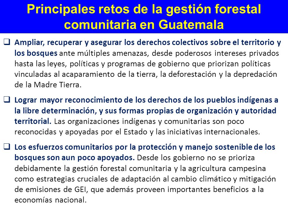 Principales retos de la gestión forestal comunitaria en Guatemala
